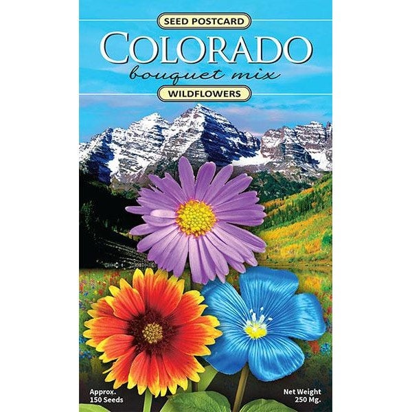 Colorado Wildflower Seed Mix